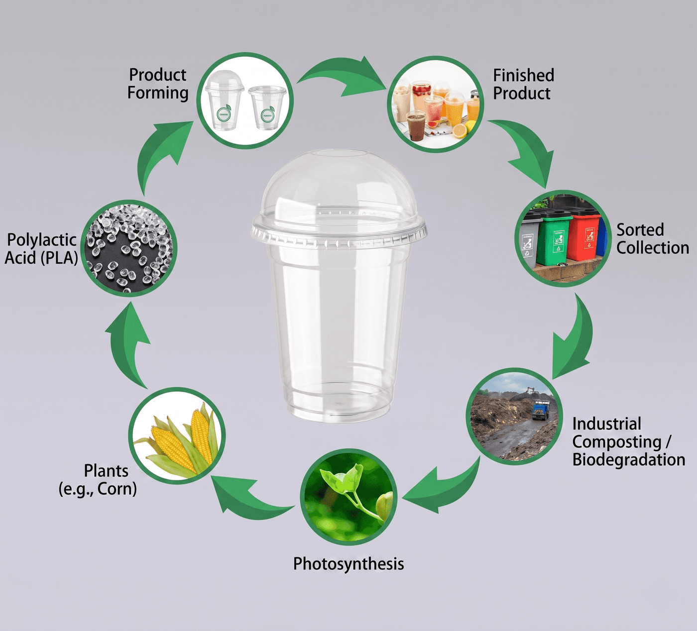 PLA material cycle for compostable cold cups and eco-friendly cafe packaging